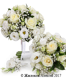 ����� ������� ��������