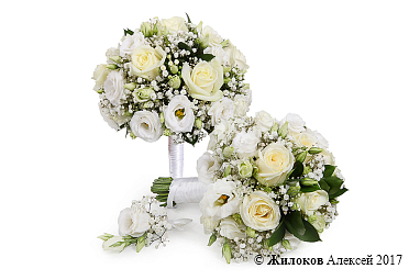 ����� ������� ��������