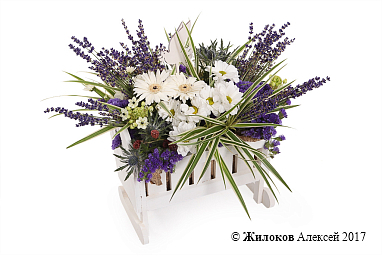 ���������� ����������� ���������� � �����