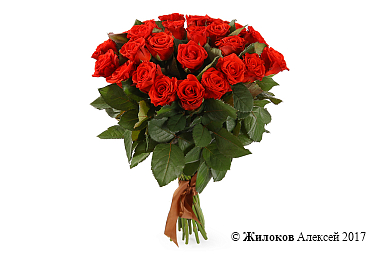 ����� 25 ������� ���, 50 ��