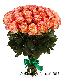 ����� 35 ��� ���� �������