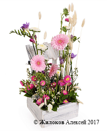 ���������� ���� ����������