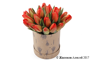 ����� 25 ����������� ��������� � ���������� ������� �������, ������-���������