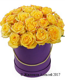 ����� 25 ��� ��� ����� � ������� �������