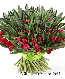 ����� �������� ���� (101 �������)