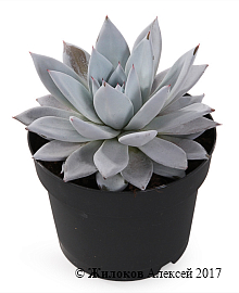 �������� � �����