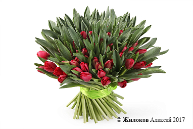 ����� �������� ���� (101 �������)