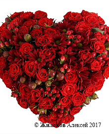 ���������� ������� ������