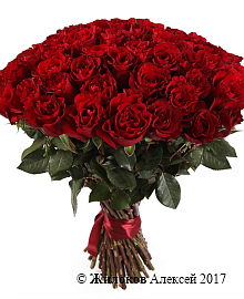 ����� 51 ���� �����