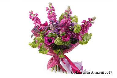 ����� ����������