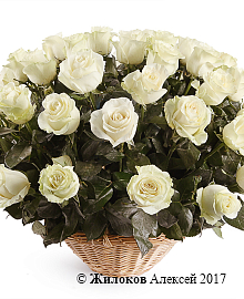 ����� 51 ���� �������� � �������