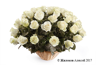 ����� 51 ���� �������� � �������