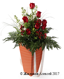 ����� ������� ����� � �������