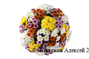 Букет 31 кустовая хризантема