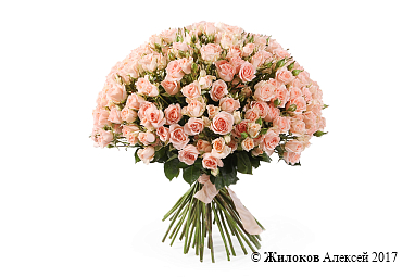 ����� 50 �������� ��� ���� ����