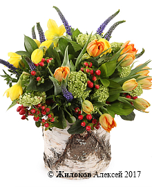 ����� ������ �������