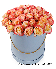 ����� 51 ���� ������ � ������� �������