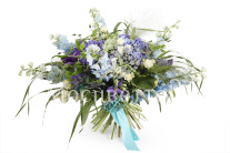 ����� ������� �����