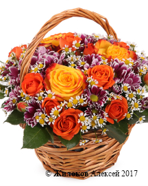 ����� ������� ������� � �������