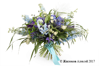 ����� ������� �����