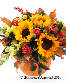 ���������� ����� ����