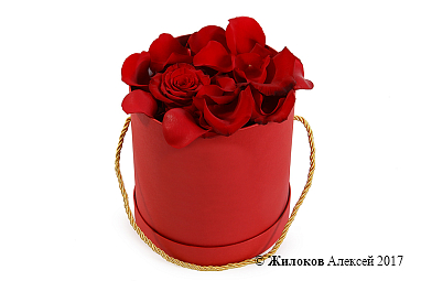 �������� ��� � ������� �������