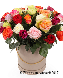 ����� ����������� ������� (35 ���) � ������� �������