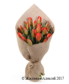 ����� ��� ���� (������-��������� ��������)