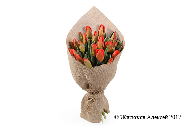 ����� ��� ���� (������-��������� ��������)