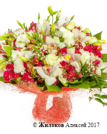 ����� ��� � �� �������