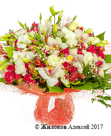 ����� ��� � �� �������