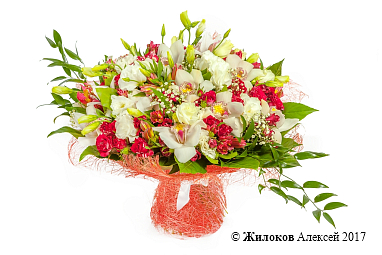 ����� ��� � �� �������