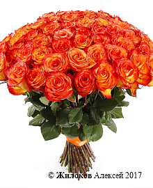 ����� 51 ���� ��� ������