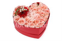 ����� � ������ ������ � ������� ������� ������