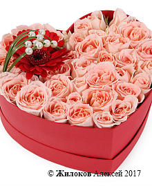 ����� � ������ ������ � ������� ������� ������