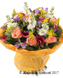 ����� ���������� ������