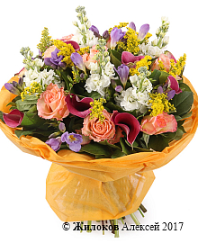 ����� ���������� ������