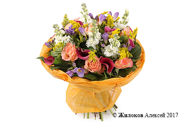 ����� ���������� ������