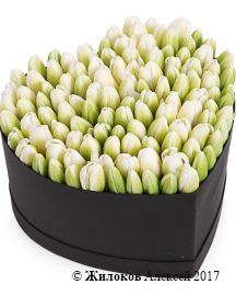 ���������� �������� ����������� � ������� ������� ������ (�����), �����