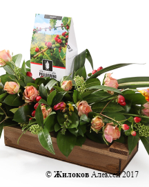 ���������� �������� � �����