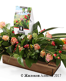 ���������� �������� � �����