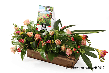 ���������� �������� � �����