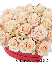 ����� �������� ������ � ������� ������� ������, �����