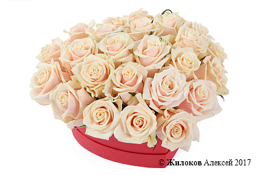 ����� �������� ������ � ������� ������� ������, �����