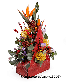 ���������� ��� � ����� ��� � �����