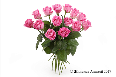 ����� 15 ��� ����