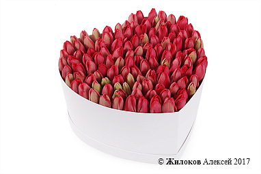 ���������� �������� ����������� � ������� ������� ������ (�����), �������