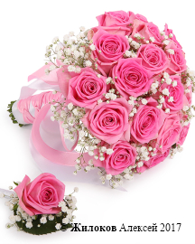 ����� ������� ��������