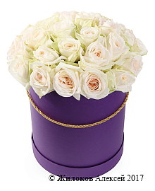 ����� 35 ��� ���� �'���� � ������� �������