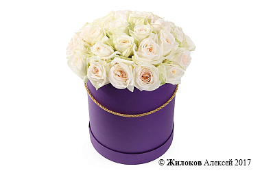 ����� 35 ��� ���� �'���� � ������� �������